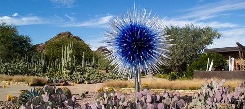 Jardin botanique du désert - Phoenix