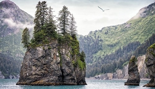 Kenai Fjords National Park - Alaska 