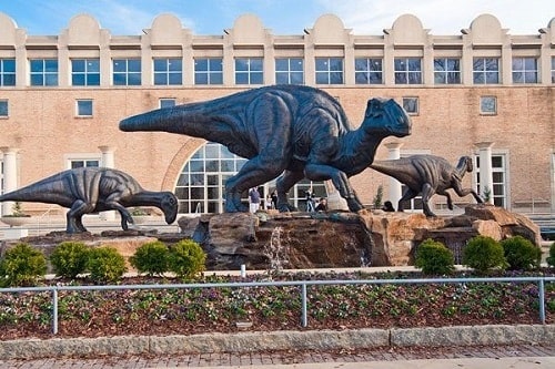 Fernbank Museum of Natural History - Atlanta 