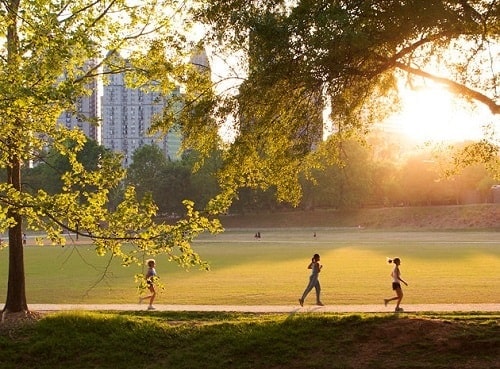 Piedmont Park - Atlanta