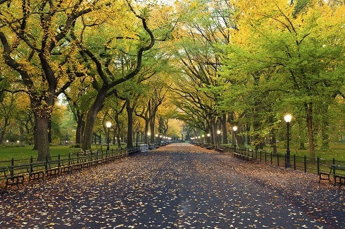 Central-Park - New-York