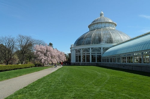 Jardin botanique de New-York - Le Bronx