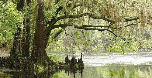 Parc national des Everglades / Floride
