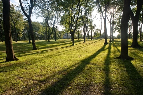 Pelham Bay Park - Le Bronx