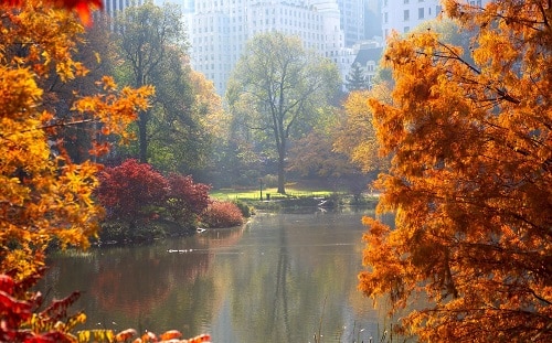 Central Park